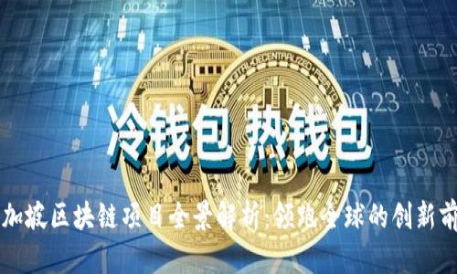 新加坡区块链项目全景解析：领跑全球的创新前沿