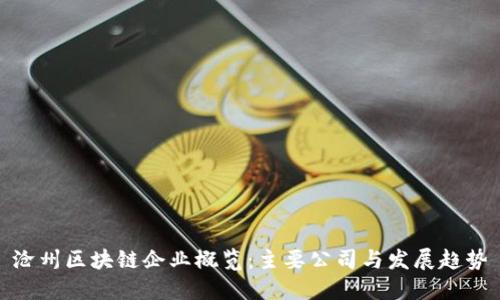 沧州区块链企业概览：主要公司与发展趋势